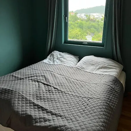 I Med Panoramautsikt 度假居 *