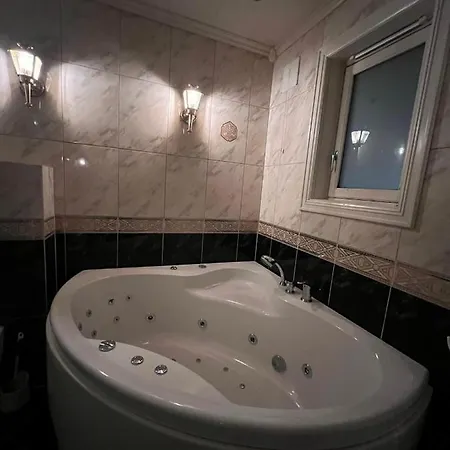 I Med Panoramautsikt * 弗莱克菲尤尔